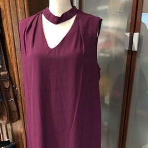 NWOT Plum Dress